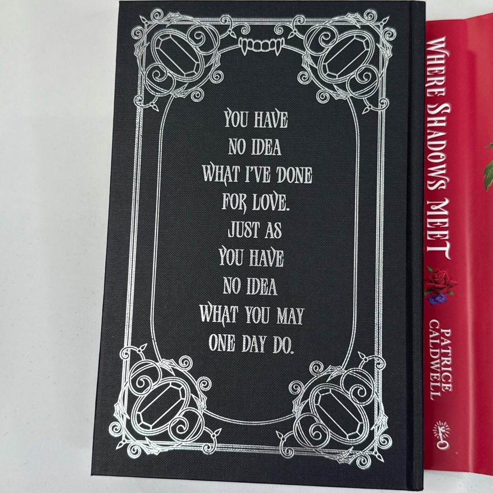 WHERE SHADOWS MEET (By Patrice Caldwell) Fairyloot Edition Hardcover - Picture 4 of 12